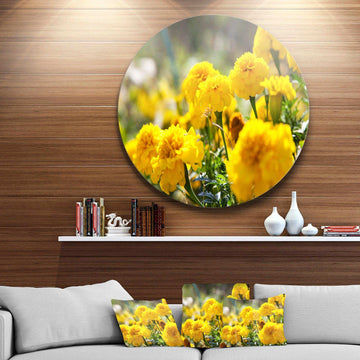 Bright Yellow Marigold Flowers - Floral Metal Circle Wall Art